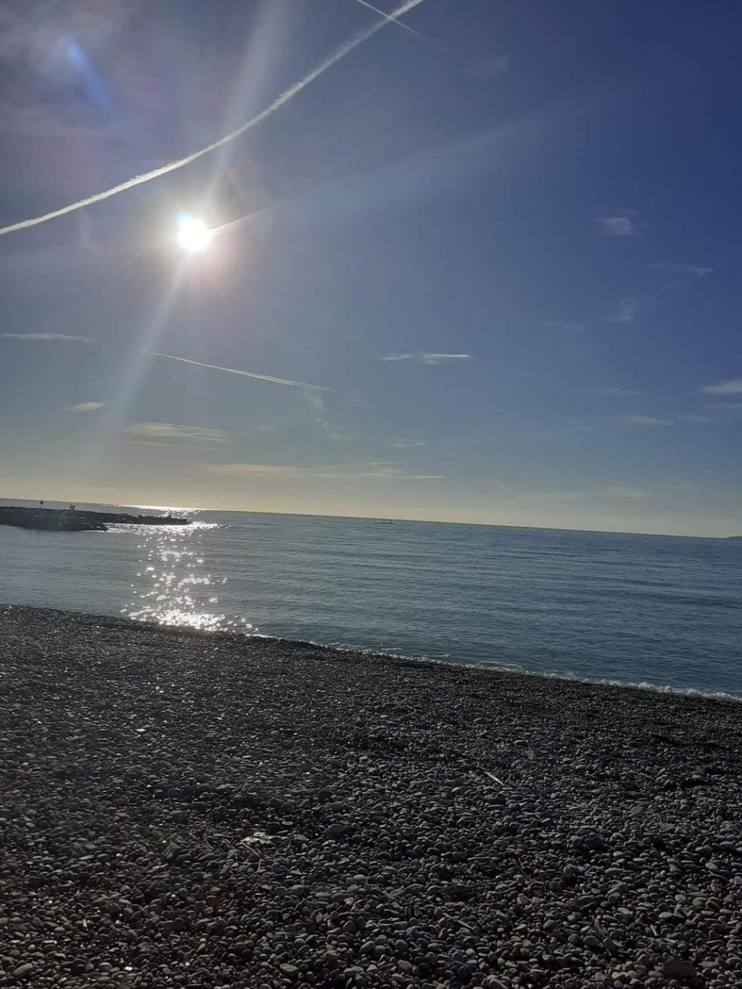 Lido, Private Apartment Seaside, Parking, Swimming Pool Cagnes-sur-Mer Eksteriør billede